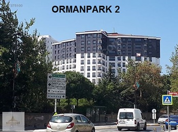 ORMANPARK 2  (3)